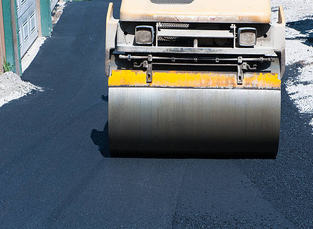 Best Driveway Border and Edging  in Duluth, WA